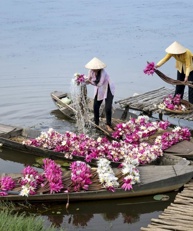 vietnam - Touroner
