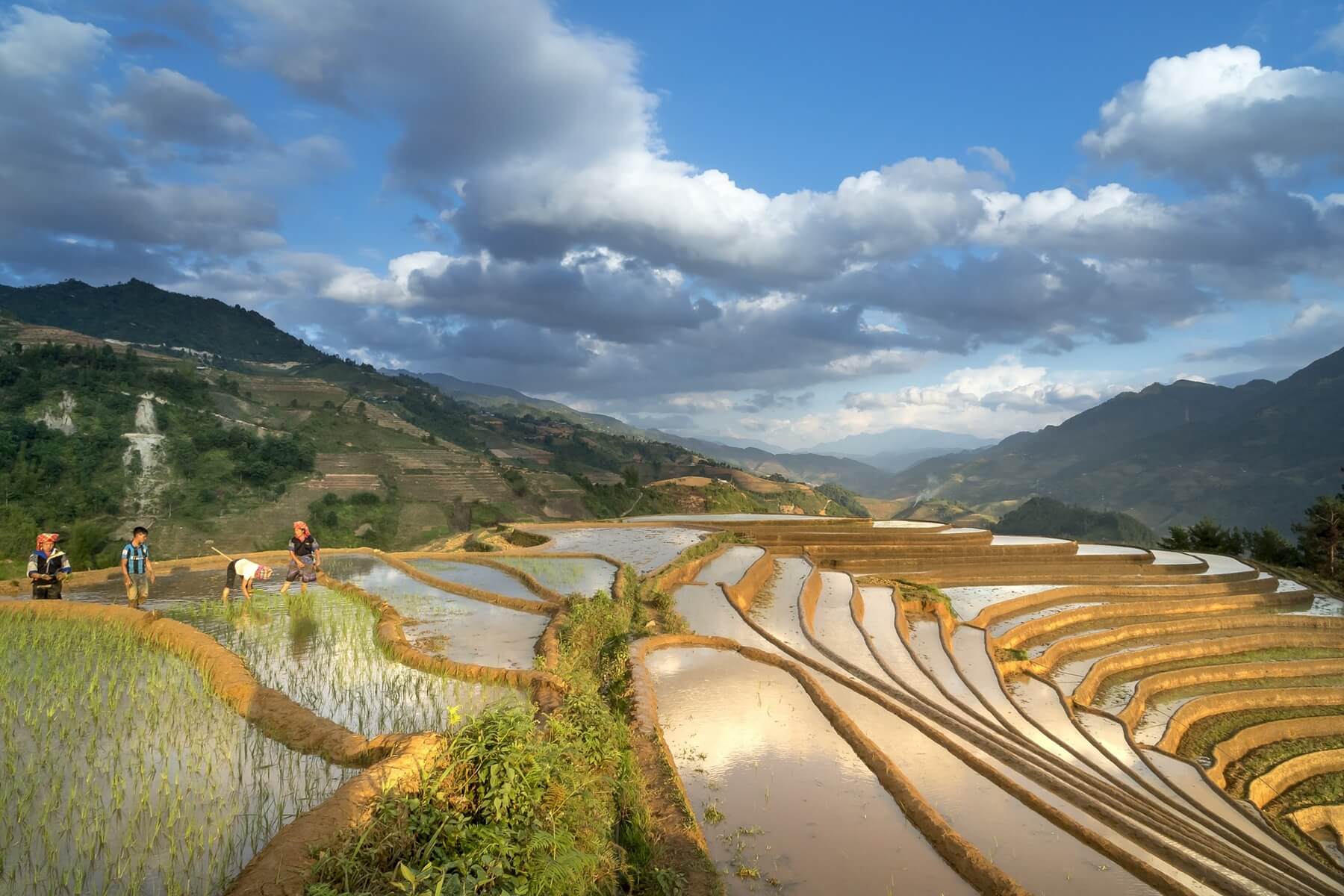 vietnam - Touroner