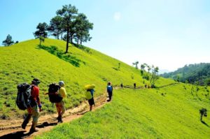 Lugares turísticos en Vietnam para caminar y visitar