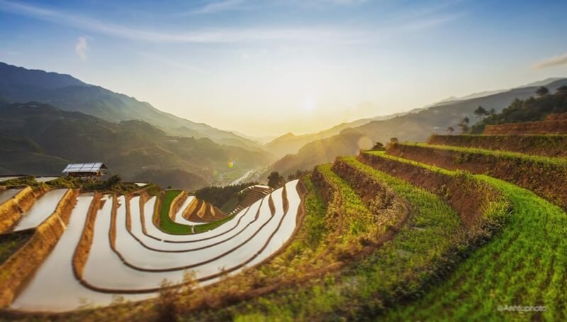 Mu Cang Chai