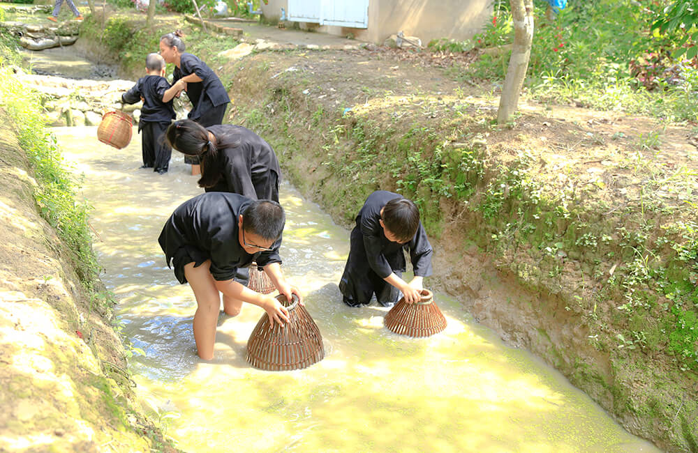 los huertos de la región del delta del Mekong