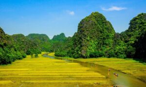 Tam Coc Ninh Binh