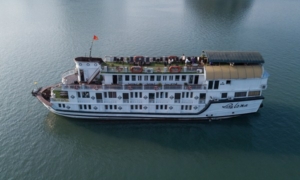 Crucero Paloma